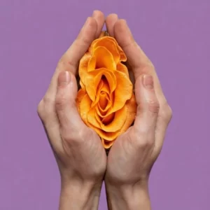 Femi-anatomical refinement